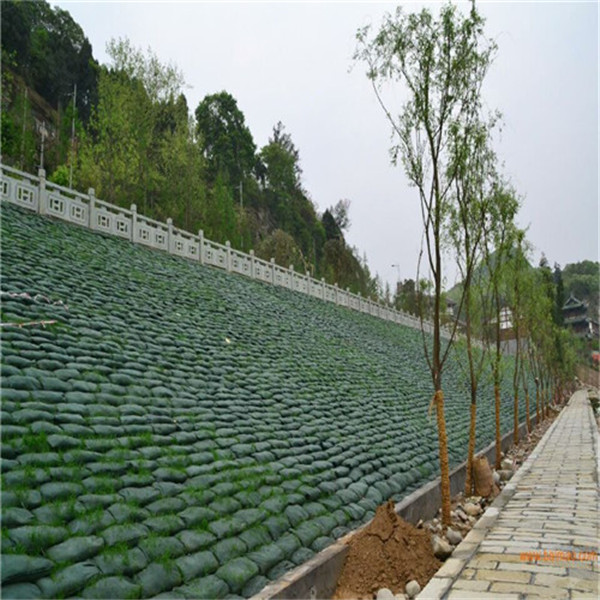 雙向塑料土工格柵